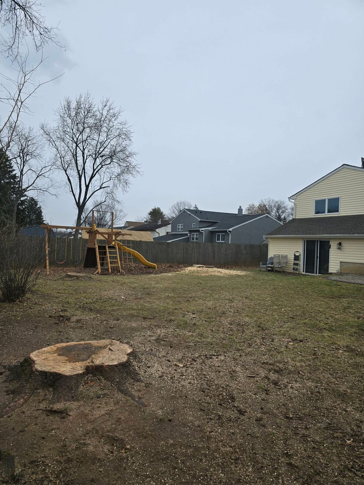 Andrake General Contractors | Home Cleanouts, Tree Removal & Demolition