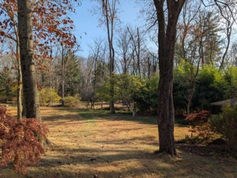 Andrake General Contractors | Home Cleanouts, Tree Removal & Demolition