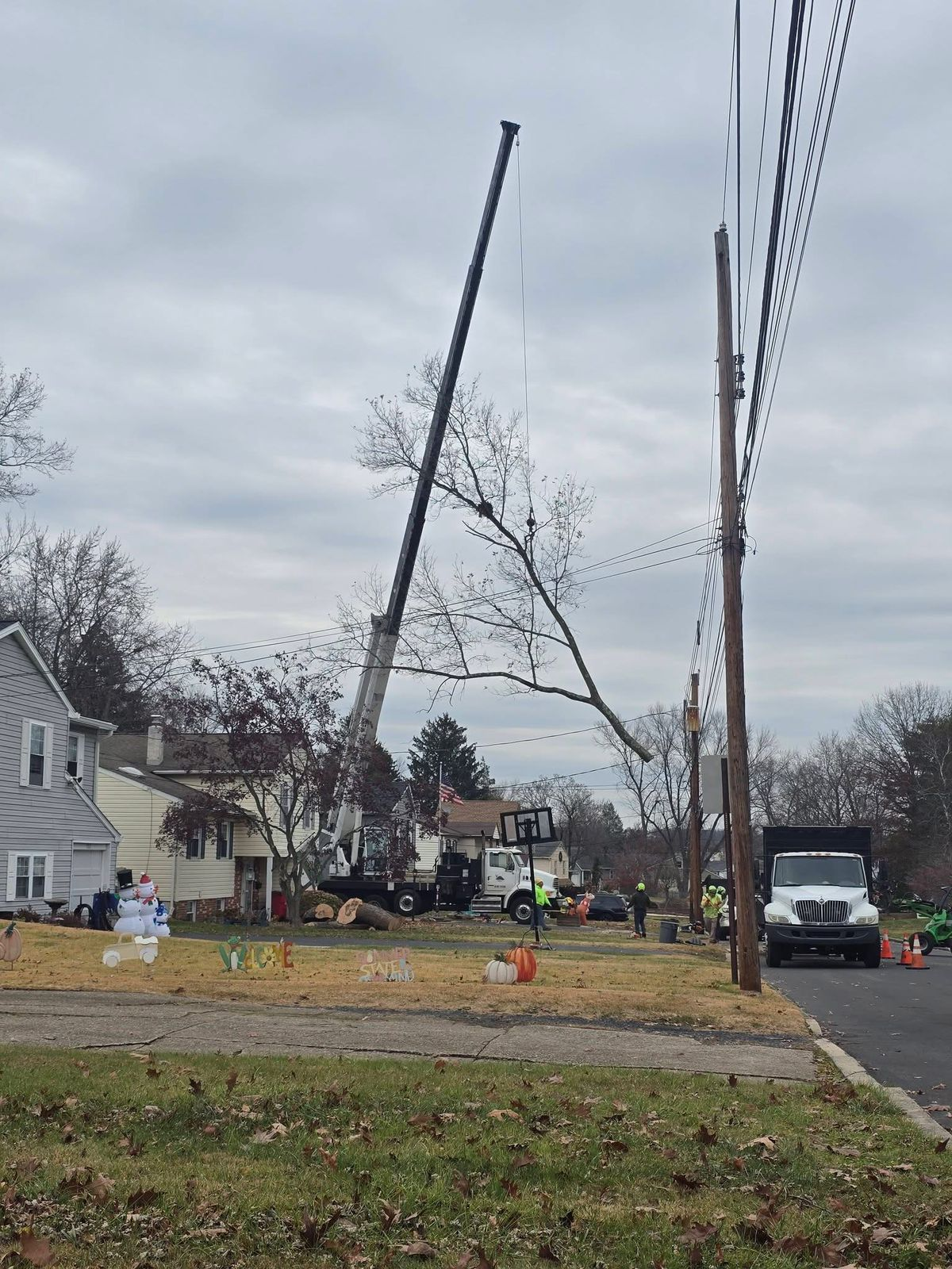 Andrake General Contractors | Home Cleanouts, Tree Removal & Demolition